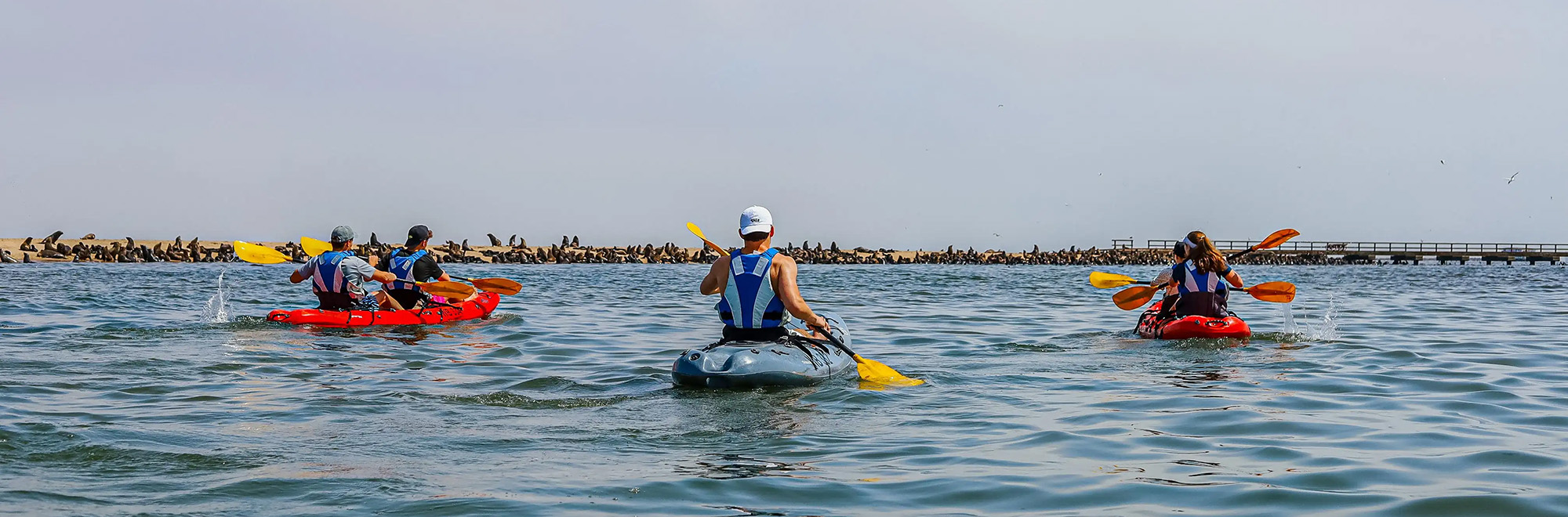 Pelican Sport -Pelican Sport 1